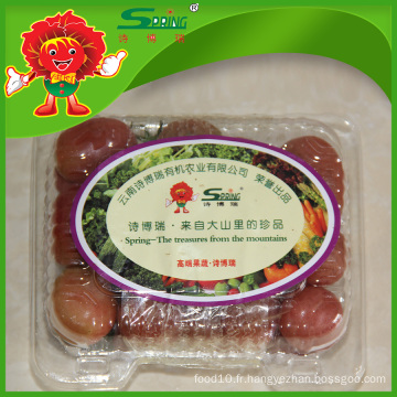 Tomate biologique de qualité supérieure chinoise